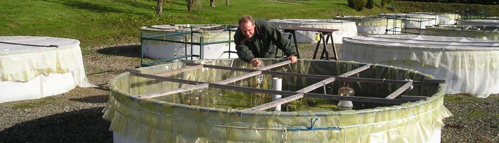 GrahAM Research Group