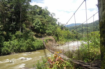 Further along the trek route